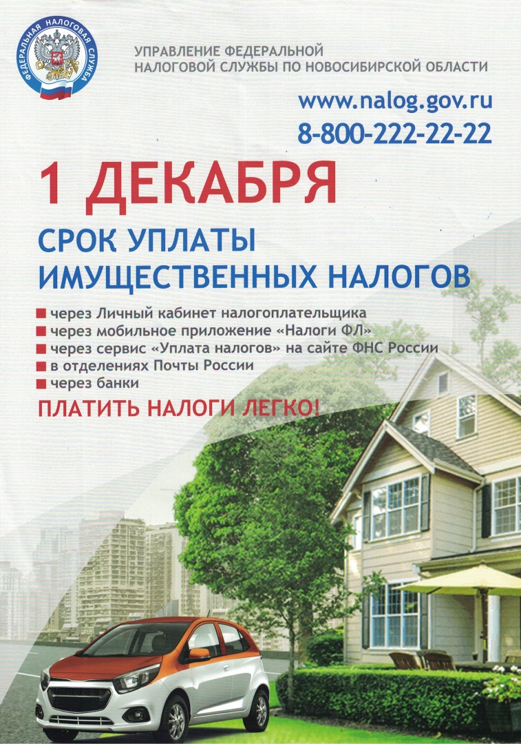 Налоги.jpg